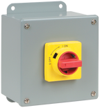 {'en': 'Enclosed Disconnect Switch with Carbon Steel Enclosure', 'es': 'Enclosed Disconnect Switch with Carbon Steel Enclosure', '_type': 'localeString'}