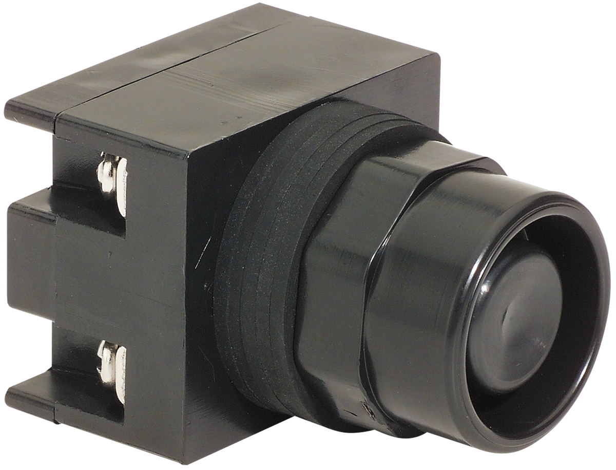 {'es': '22mm NEMA Momentary Non-Illuminated Push Button with Black Flush Cap', '_type': 'localeString', 'en': '22mm NEMA Momentary Non-Illuminated Push Button with Black Flush Cap'}